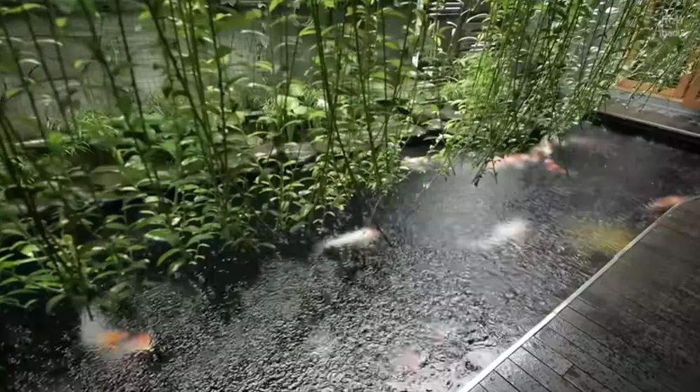 Rumah tropis serasa tinggal di surga dunia © YouTube