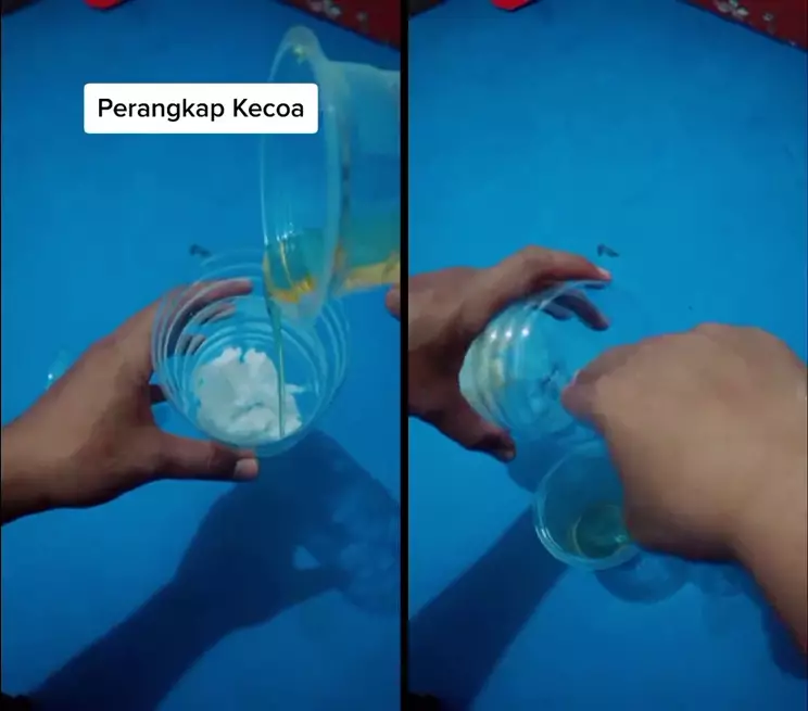 basmi kecoak pakai botol bekas © 2025 TikTok