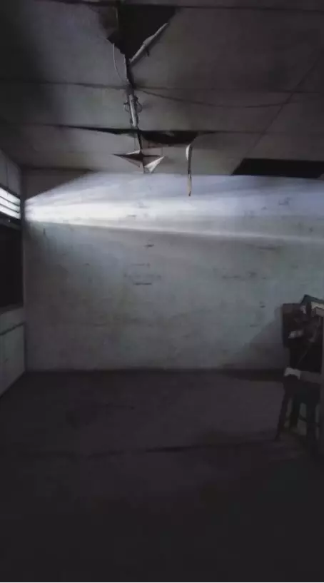 rumah 10 tahun terbengkalai direnovasi ala jepang © TikTok/@vtstudio.co rumah 10 tahun terbengkalai direnovasi ala jepang © TikTok/@vtstudio.co