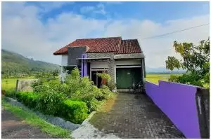 Rumah mungil tengah sawah dimakeover jadi serba ungu, 11 potret dalamnya makin estetik
