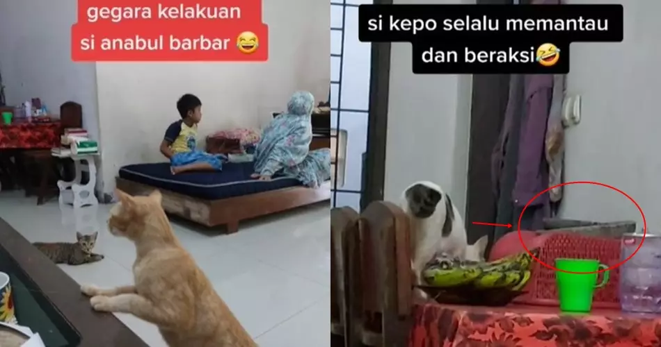 Aksi wanita tunjukkan fungsi lain cobek batu © TikTok