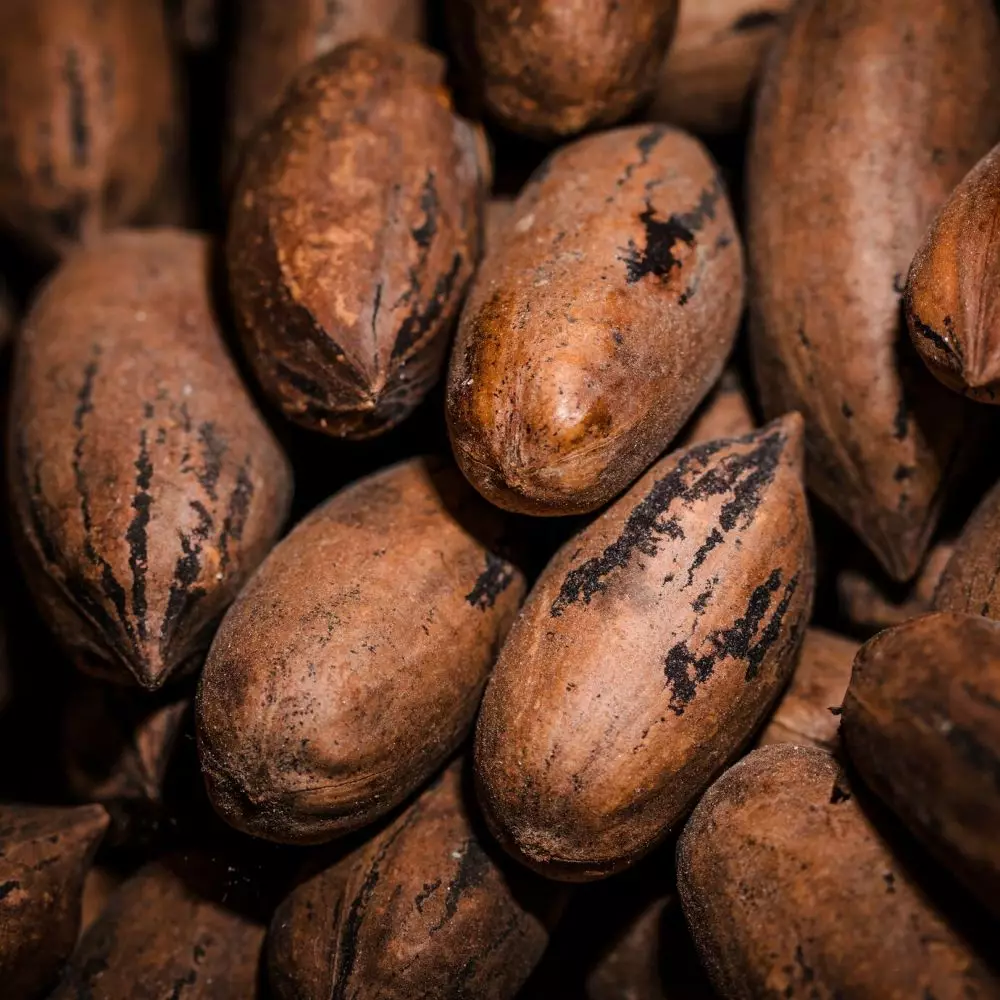 cokelat ternyata pernah menjadi mata uang © 2025 brilio.net