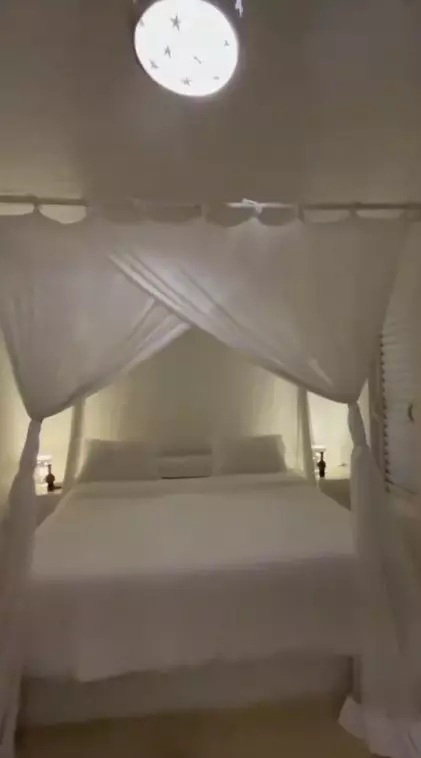 rumah kecil cat hijau ini dalamnya cozy © TikTok