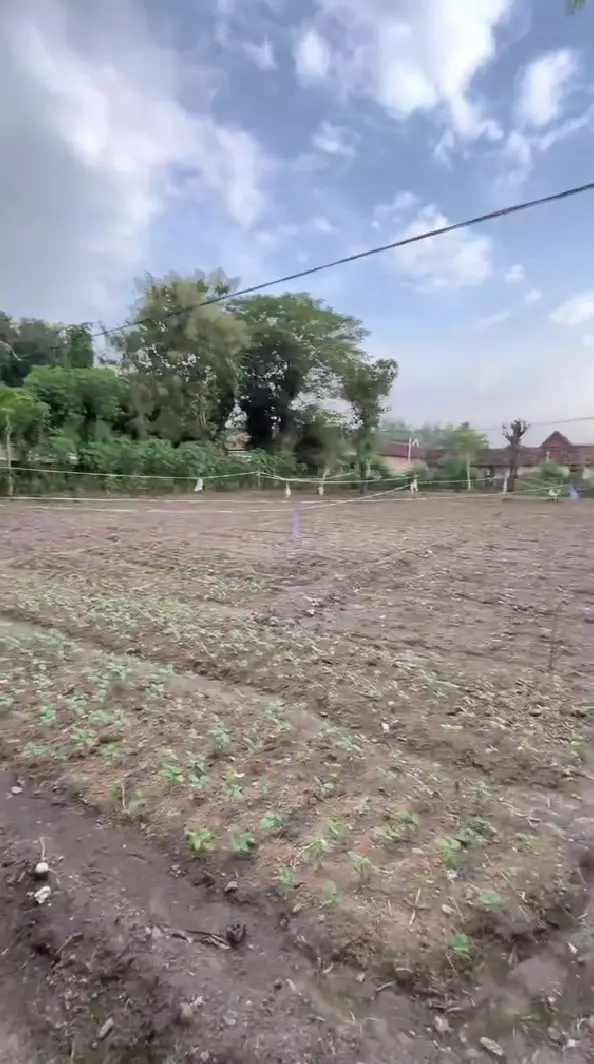 Wanita spill penampakan rumah neneknya © TikTok Wanita spill penampakan rumah neneknya © TikTok