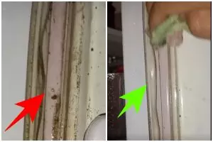 Jangan biarkan kulkas boros listrik! Cek karet kulkas dan bersihkan dengan cara ini