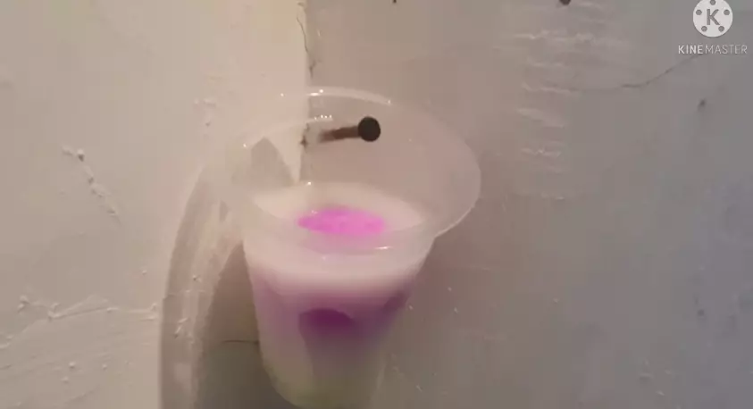 cara bersihkan lantai kamar mandi 2 bahan dapur © 2023 brilio.net