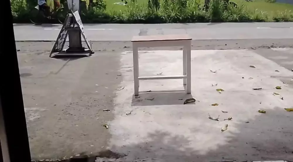 Cara alami mengusir rayap hingga tuntas © YouTube