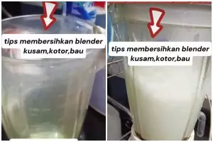 Cara bersihkan gelas blender kusam dan bau pakai bahan dapur, cuma butuh 5 menit