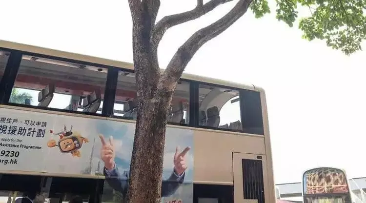 momen lucu kebetulan pas foto © berbagai sumber momen lucu kebetulan pas foto © berbagai sumber