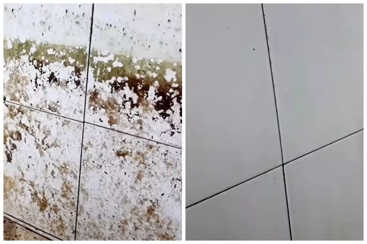 Tak perlu disikat kuat, ini trik bersihkan lumut bandel di bak kamar mandi cuma tambah 1 bahan dapur