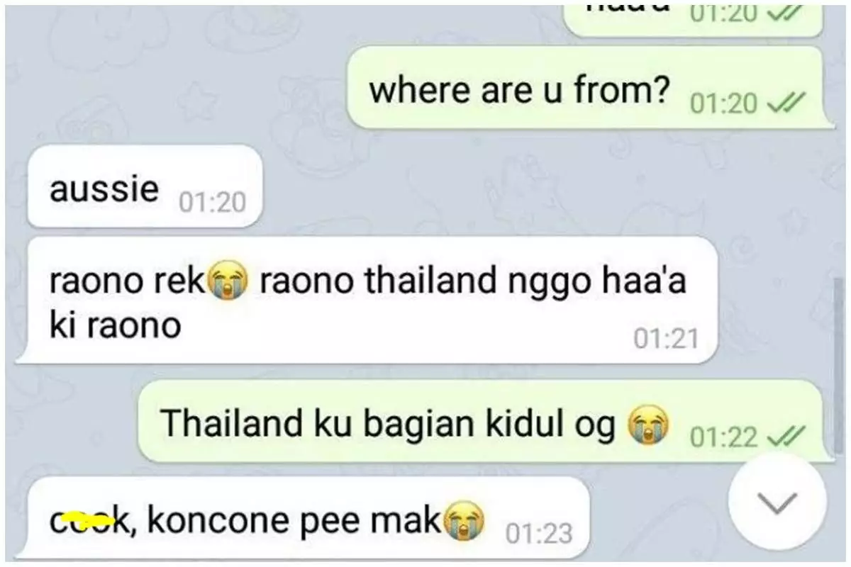 11 Jawaban lucu orang diajak kenalan lewat chat pakai bahasa Inggris ini bikin ketawa geli