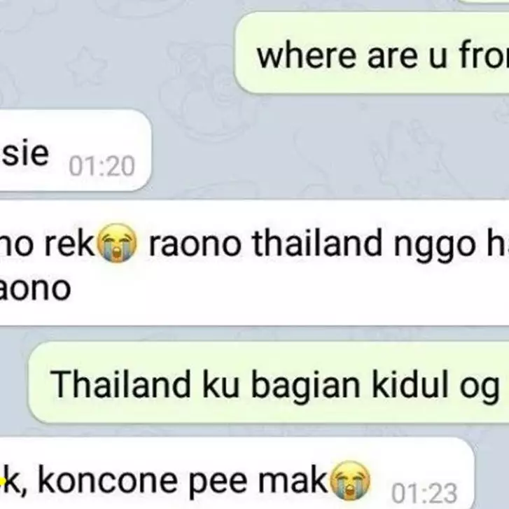 11 Jawaban lucu orang diajak kenalan lewat chat pakai bahasa Inggris ini bikin ketawa geli
