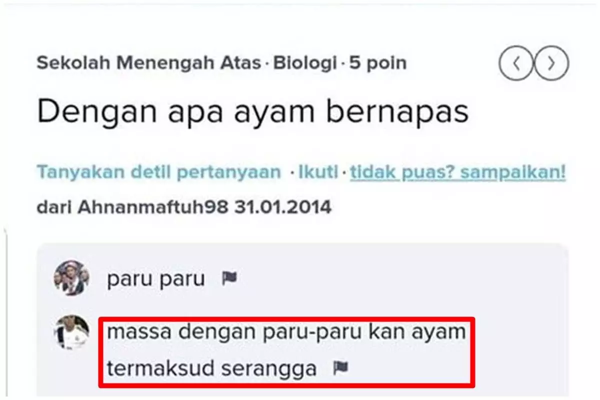 11 Jawaban kocak dari pertanyaan di Brainly ini isinya random abis, definisi ngetik dulu baru mikir
