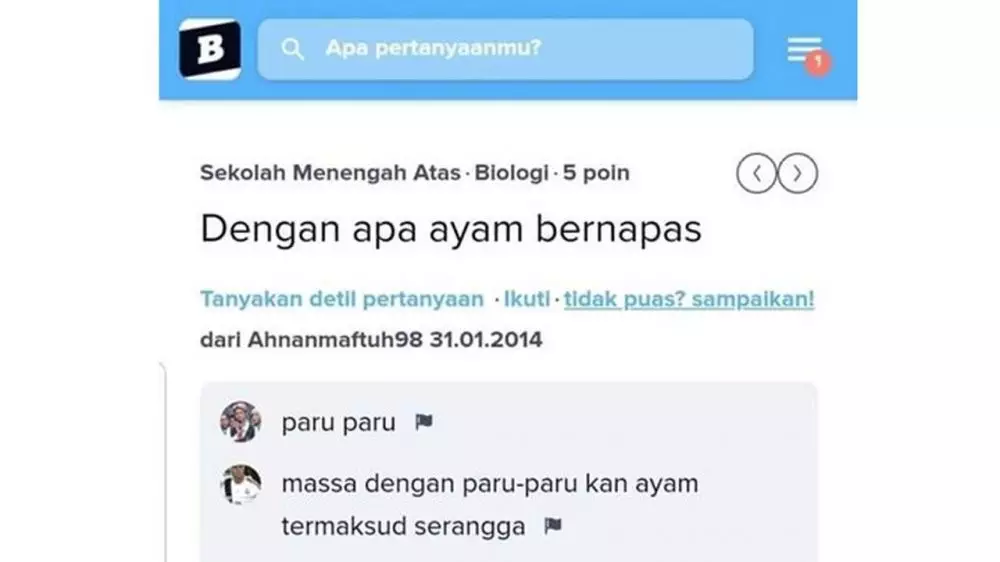 jawaban di brainly © 2025 X