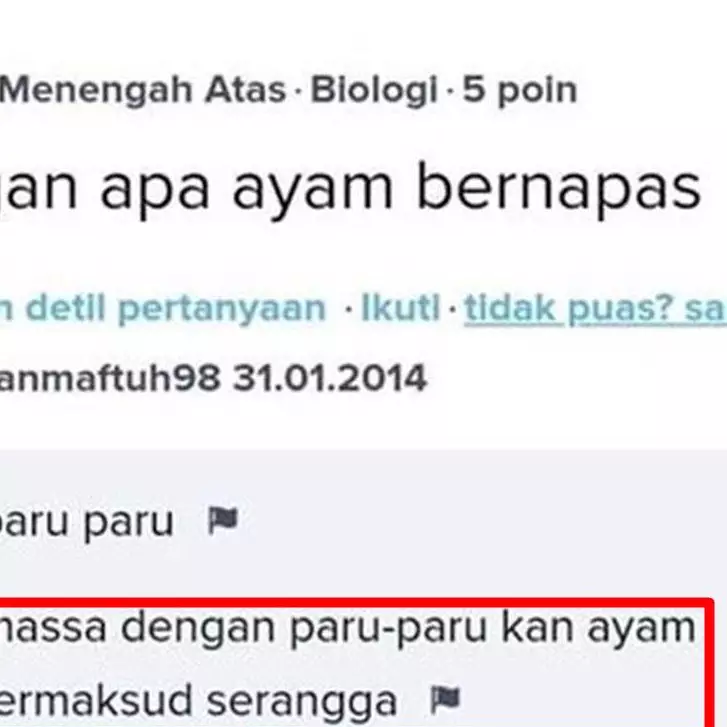 11 Jawaban kocak dari pertanyaan di Brainly ini isinya random abis, definisi ngetik dulu baru mikir