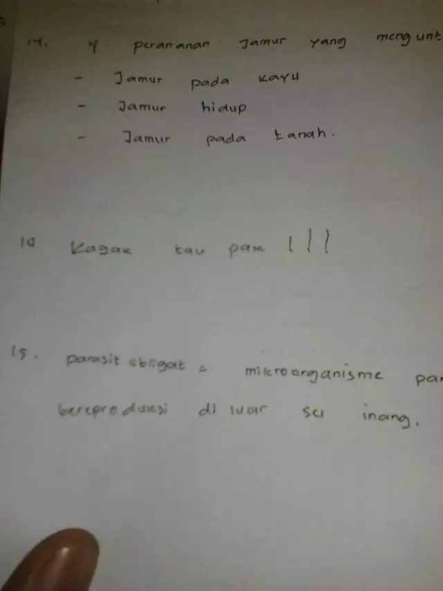 jawaban kocak ujian siswa © 2025 berbagai sumber