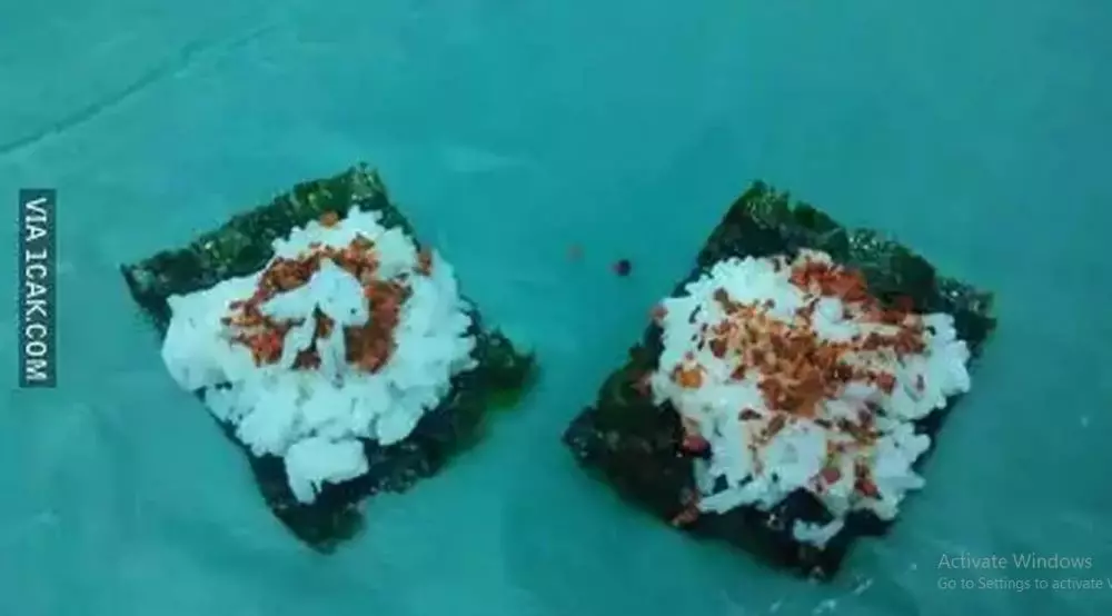 potret lucu makan kimbap © 2025 berbagai sumber