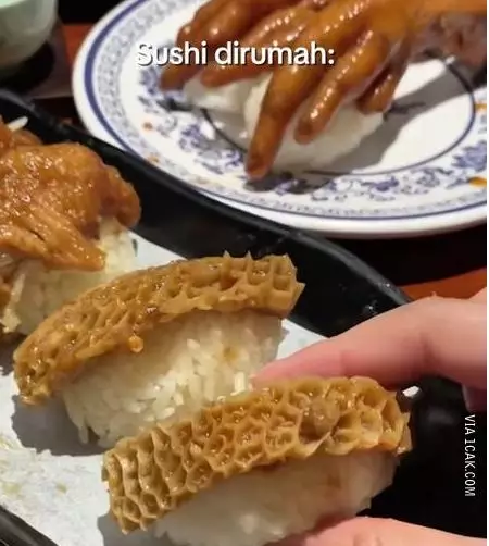 potret lucu makan kimbap © 2025 berbagai sumber