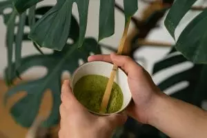 Baru-baru ini terjadi, apakah bisa minum matcha berisiko bikin masuk UGD?