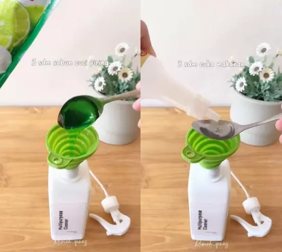 cara ampuh usir cicak di rumah © YouTube