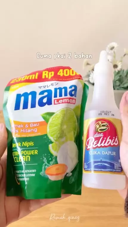 cara ampuh usir cicak di rumah © YouTube