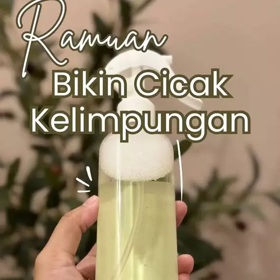 Tak perlu sulit bikin perangkap, ini trik ampuh usir cicak di rumah pakai 2 bahan dapur