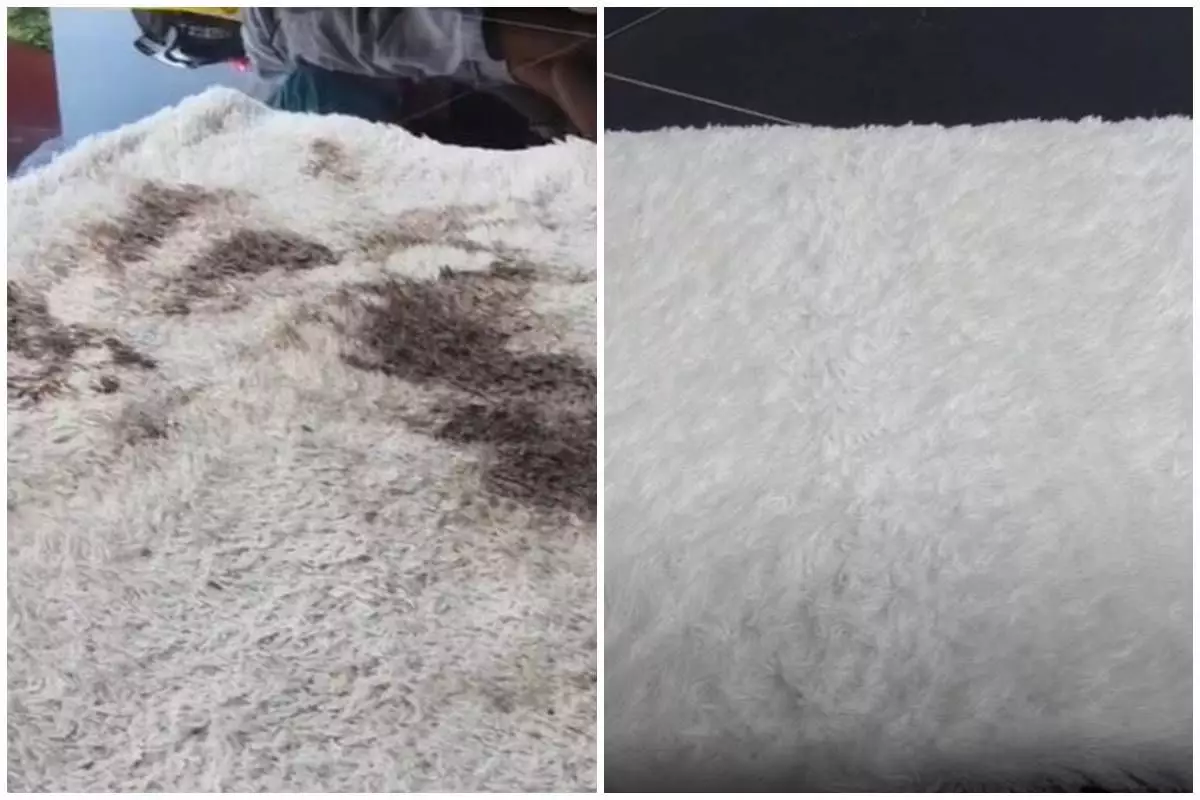 Tak keluar ongkos mahal, ini cara cuci karpet bulu dekil jadi putih pakai 1 tambahan penguat rasa