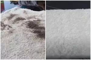 Tak keluar ongkos mahal, ini cara cuci karpet bulu dekil jadi putih pakai 1 tambahan penguat rasa