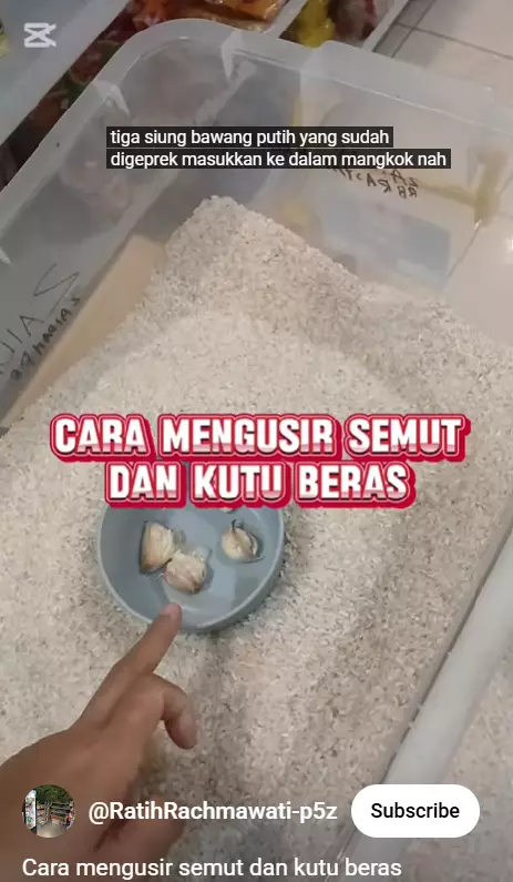 Nggak nyangka, ternyata begini trik mengusir semut dan kutu di beras pakai 1 bumbu dapur berbagai sumber