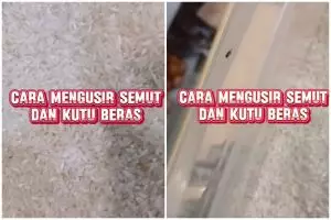 Nggak nyangka, ternyata begini trik mengusir semut dan kutu di beras pakai 1 bumbu dapur