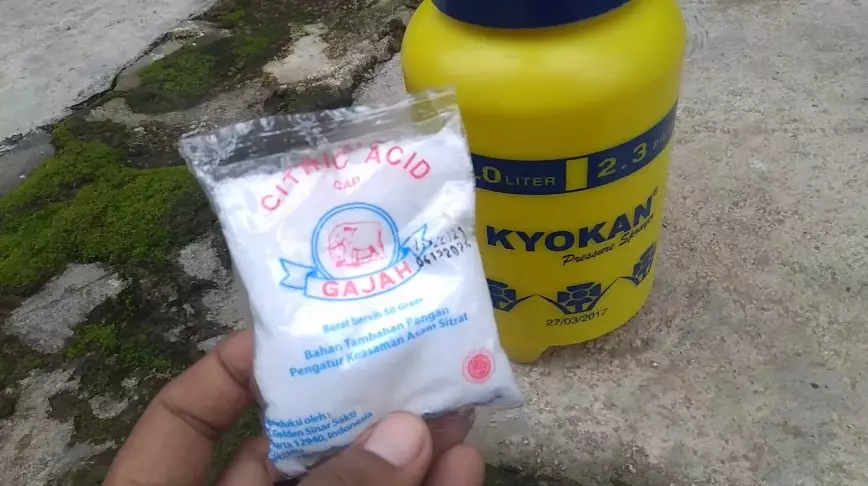 bersihkan toren air yang berlumut © YouTube