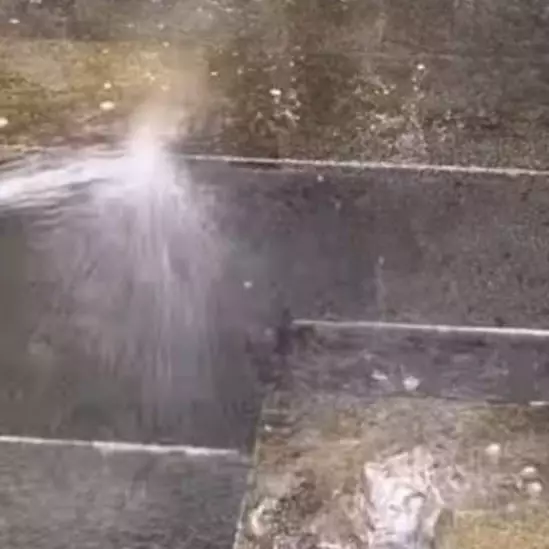 Tak perlu capek nyikat, ini cara ampuh bersihkan lumut di teras rumah dengan bantuan 1 bahan kimia