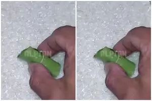 Cara simpan beras agar wangi dan bebas kutu pakai 2 bahan dapur, rahasia nenek relevan sampai kini