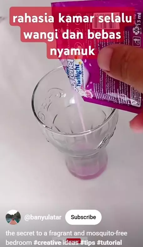 trik bikin rumah bebas dari nyamuk © berbagai sumber trik bikin rumah bebas dari nyamuk © berbagai sumber