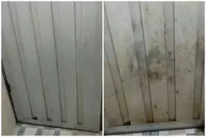 Baru terungkap, pria ini punya cara bersihkan kerak hitam di pintu kamar mandi tanpa disikat