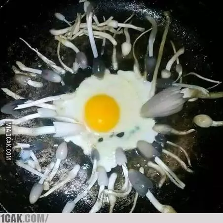 telur nyeleneh © Instagram telur nyeleneh © Instagram