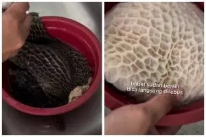 Rahasia membersihkan babat sapi dalam hitungan menit, putih bersih tanpa bau amis