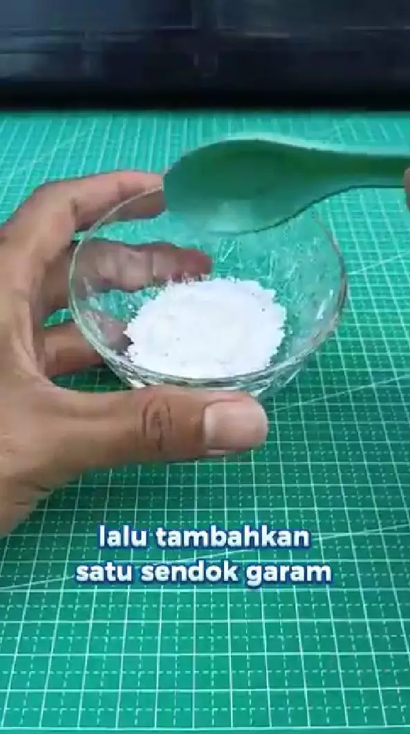 mengusir tikus dari rumah modal bumbu dapur © YouTube