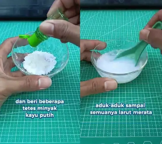 mengusir tikus dari rumah modal bumbu dapur © YouTube
