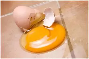 Jangan pakai kain lap, ini cara mudah bersihkan pecahan telur di keramik agar tak amis dan licin