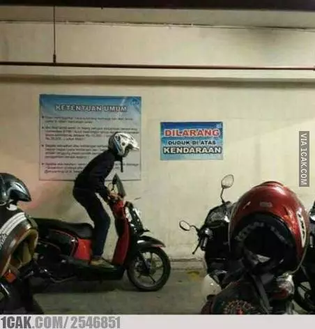 potret lucu orang terlalu patuh peraturan © berbagai sumber potret lucu orang terlalu patuh peraturan © berbagai sumber