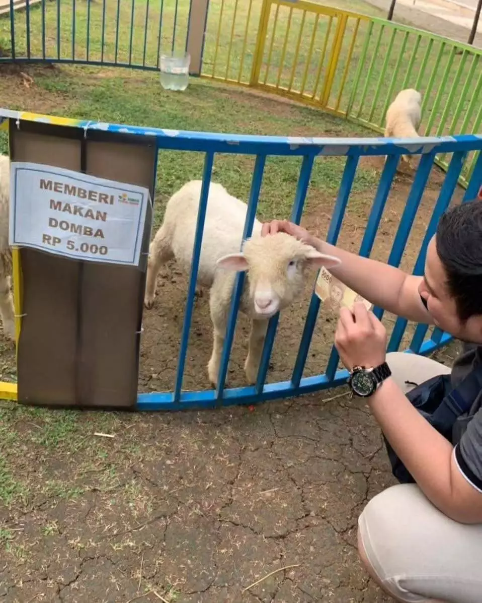 potret lucu orang terlalu patuh peraturan © 2025 berbagai sumber potret lucu orang terlalu patuh peraturan © 2025 berbagai sumber