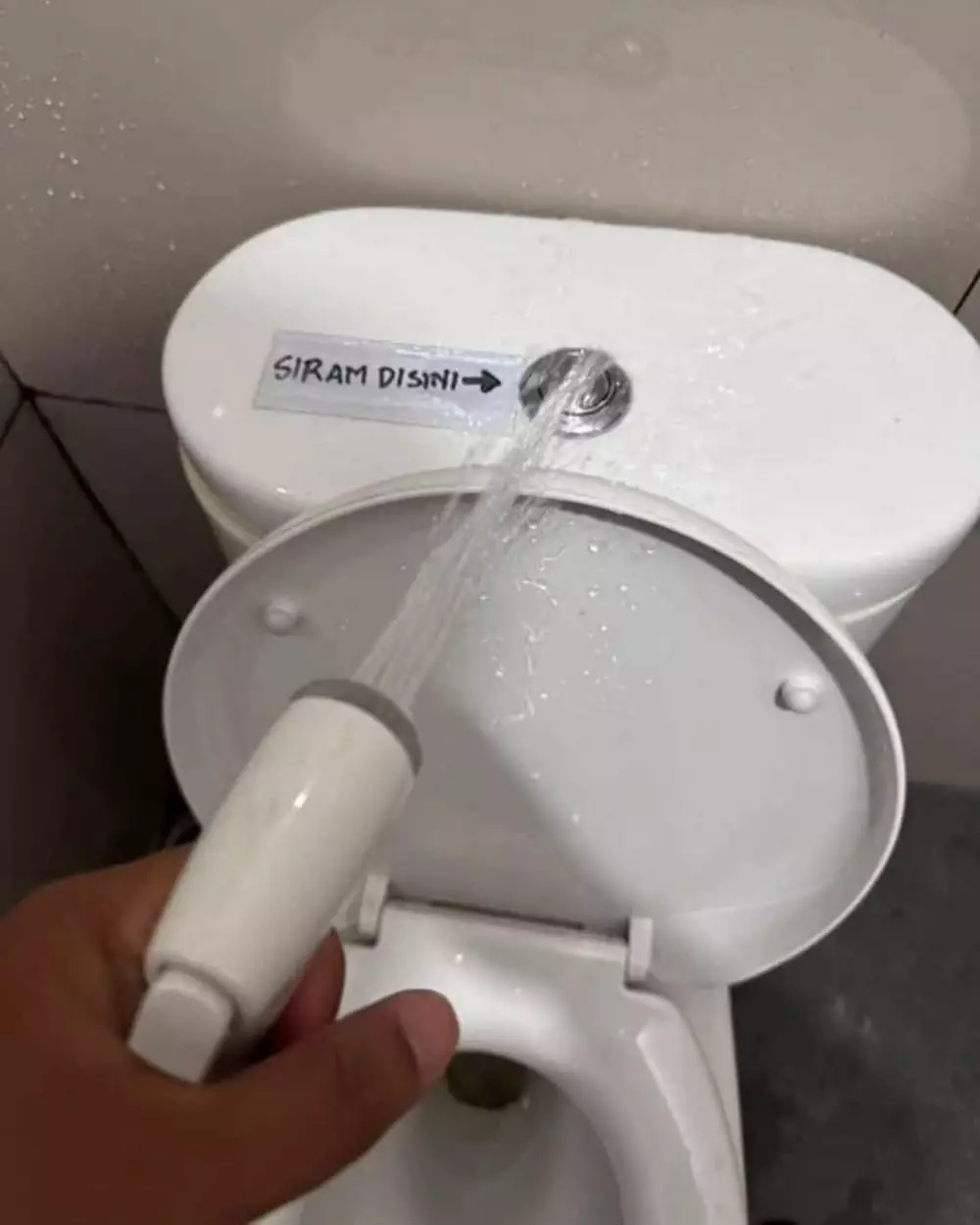 potret lucu orang terlalu patuh peraturan © 2025 berbagai sumber potret lucu orang terlalu patuh peraturan © 2025 berbagai sumber