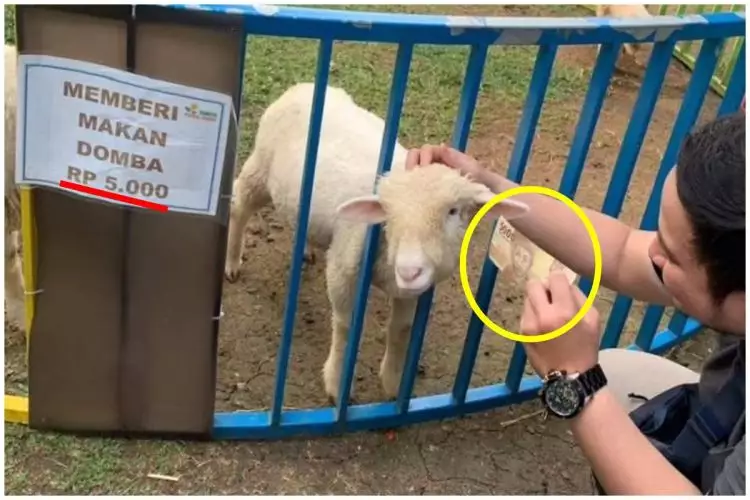 19 Potret kocak orang ikut aturan apa adanya ini bikin senyum datar, antara polos atau kurang kerjaan