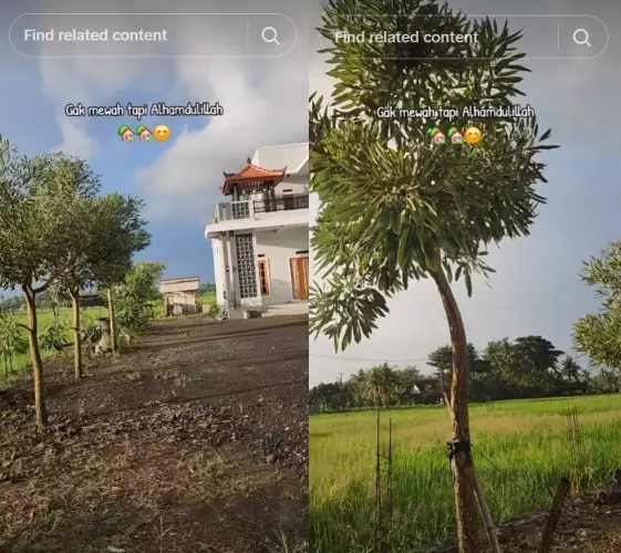 Niatnya pamer rumah baru malah tuai nyinyiran © TikTok