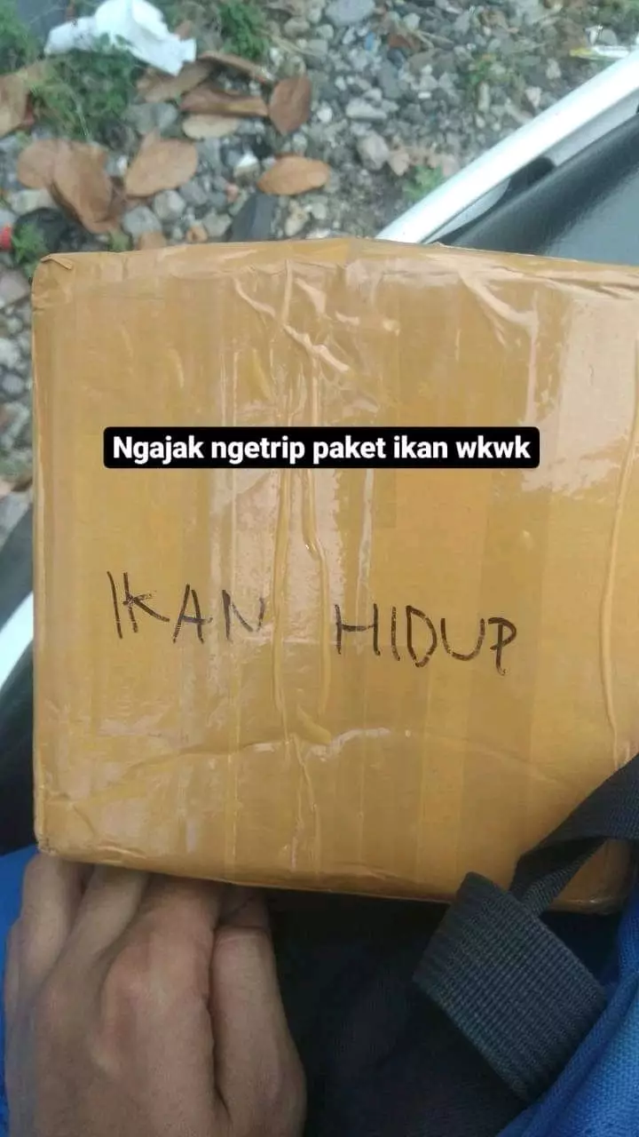 tulisan lucu untuk kurir © Berbagai sumber tulisan lucu untuk kurir © Berbagai sumber