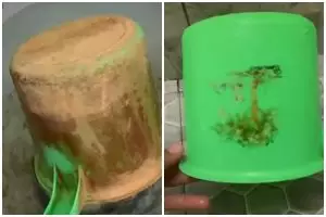 Gayung buluk berkerak sekarang jadi kinclong lagi, ternyata triknya cuma modal Rp 3 ribu