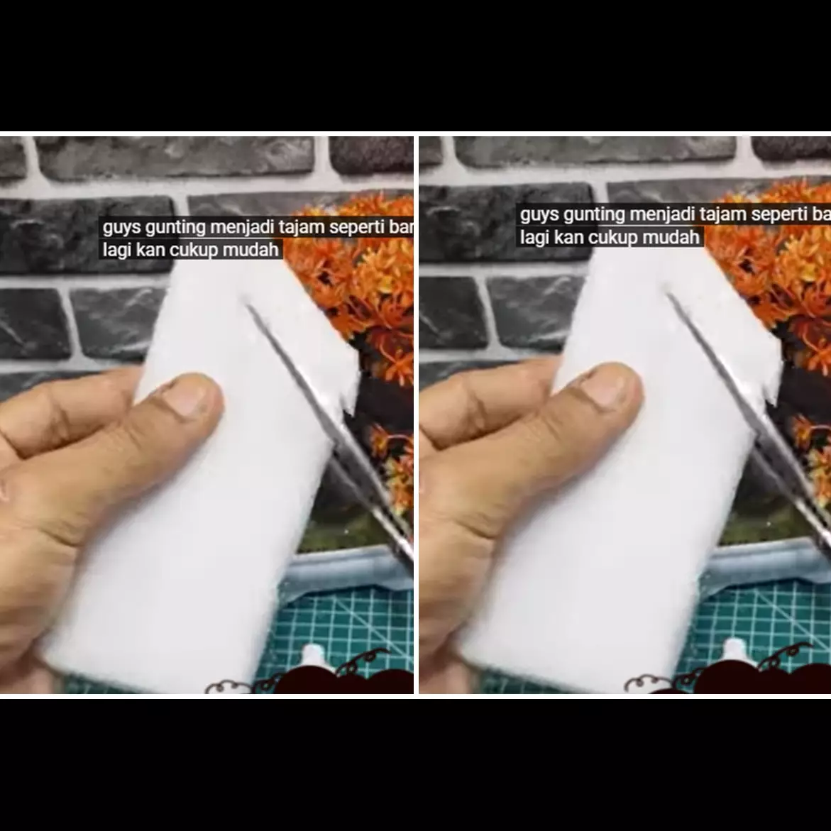 Trik agar gunting tumpul jadi tajam lagi sekarang tanpa digosok batu, cuma pakai 2 bahan sederhana