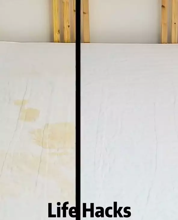 cara bikin kasur buluk jadi bak baru dengan 3 bahan sederhana © berbagai sumber