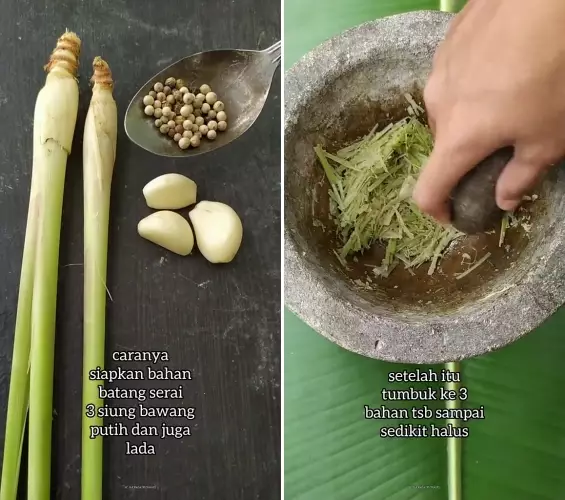 trik usir tikus pakai bumbu dapur  © 2025 TikTok